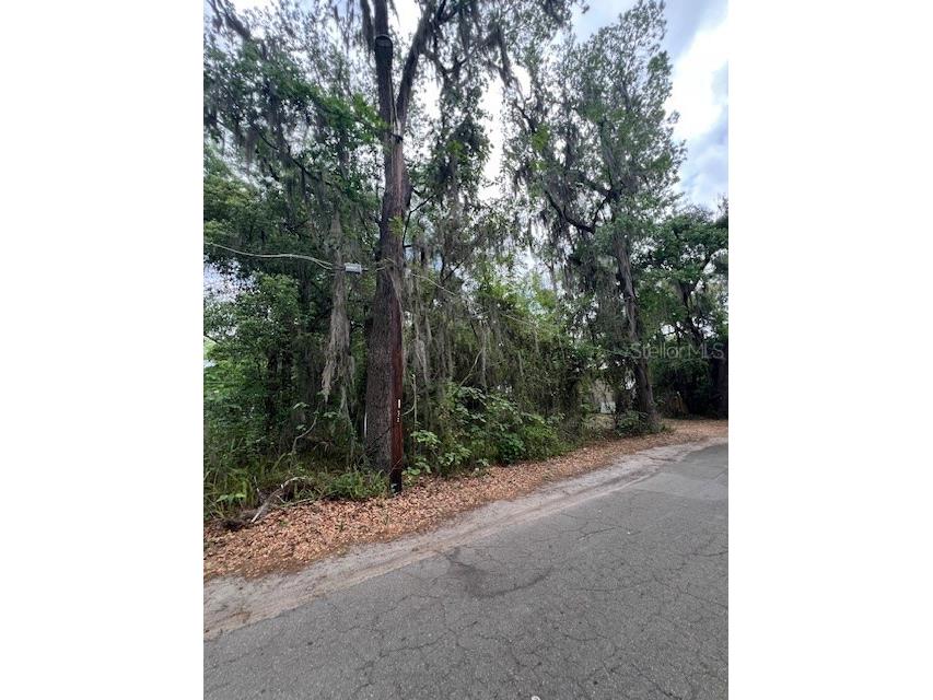 120 NW 9th Street Gainesville FL 32601 GC539312 image3