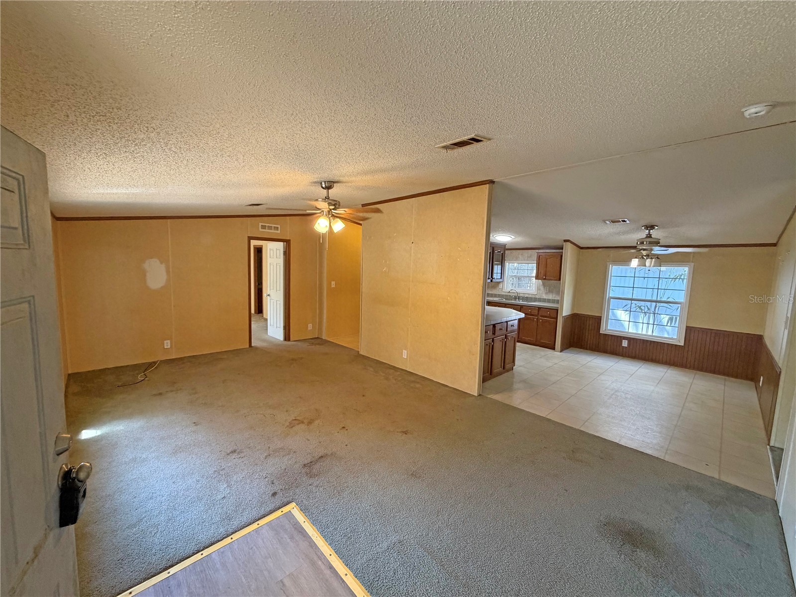 120 Peach Hawthorne FL 32640 GC539601 image3