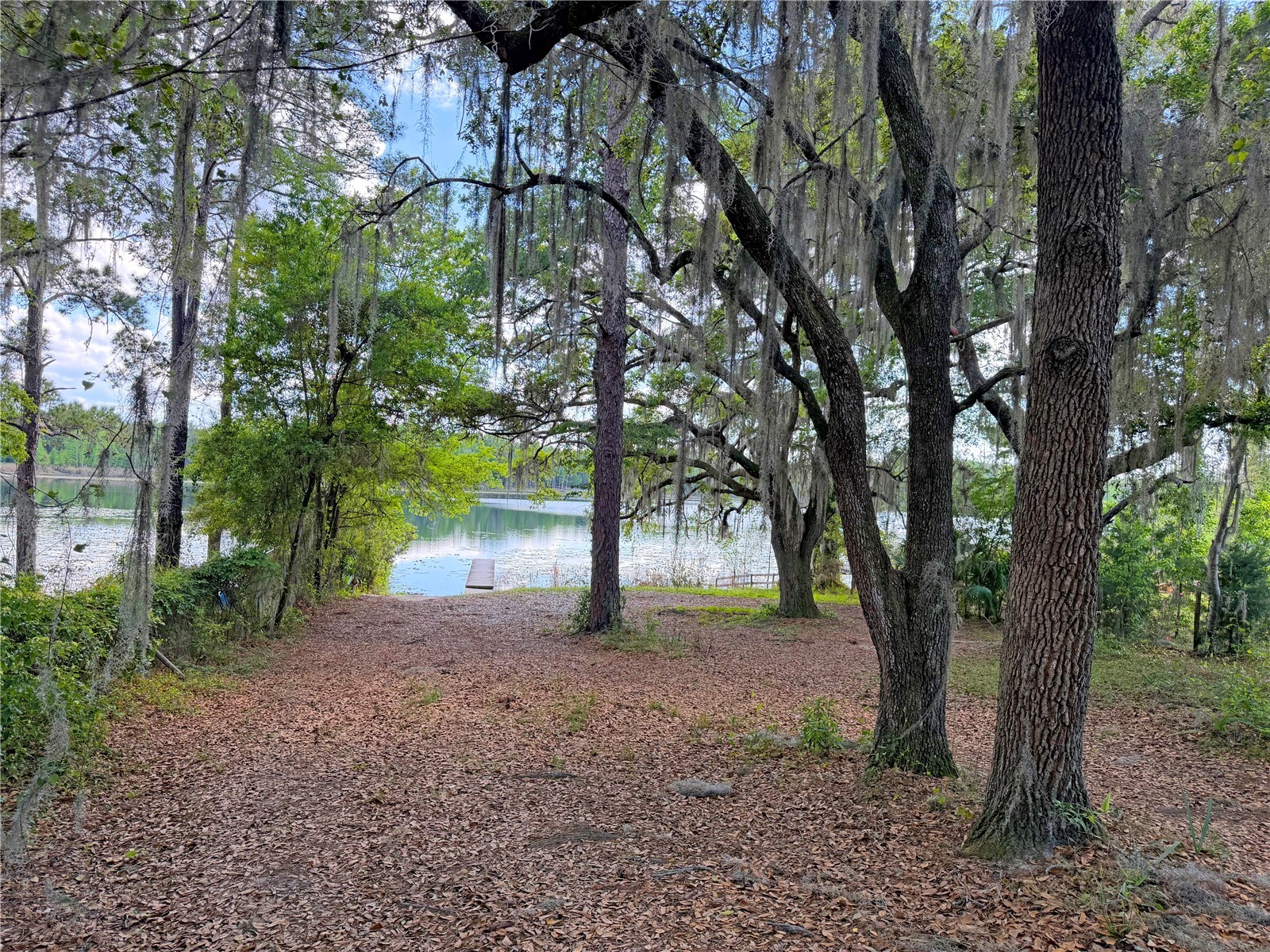 120 Peach Hawthorne FL 32640 GC539601 image35