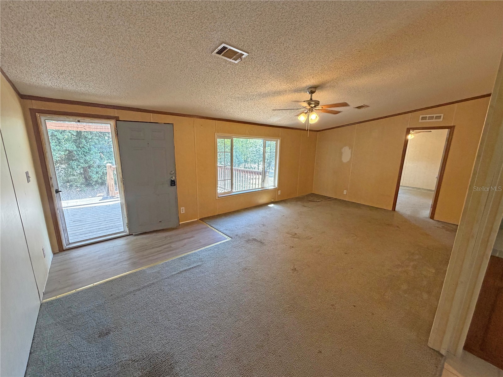 120 Peach Hawthorne FL 32640 GC539601 image4