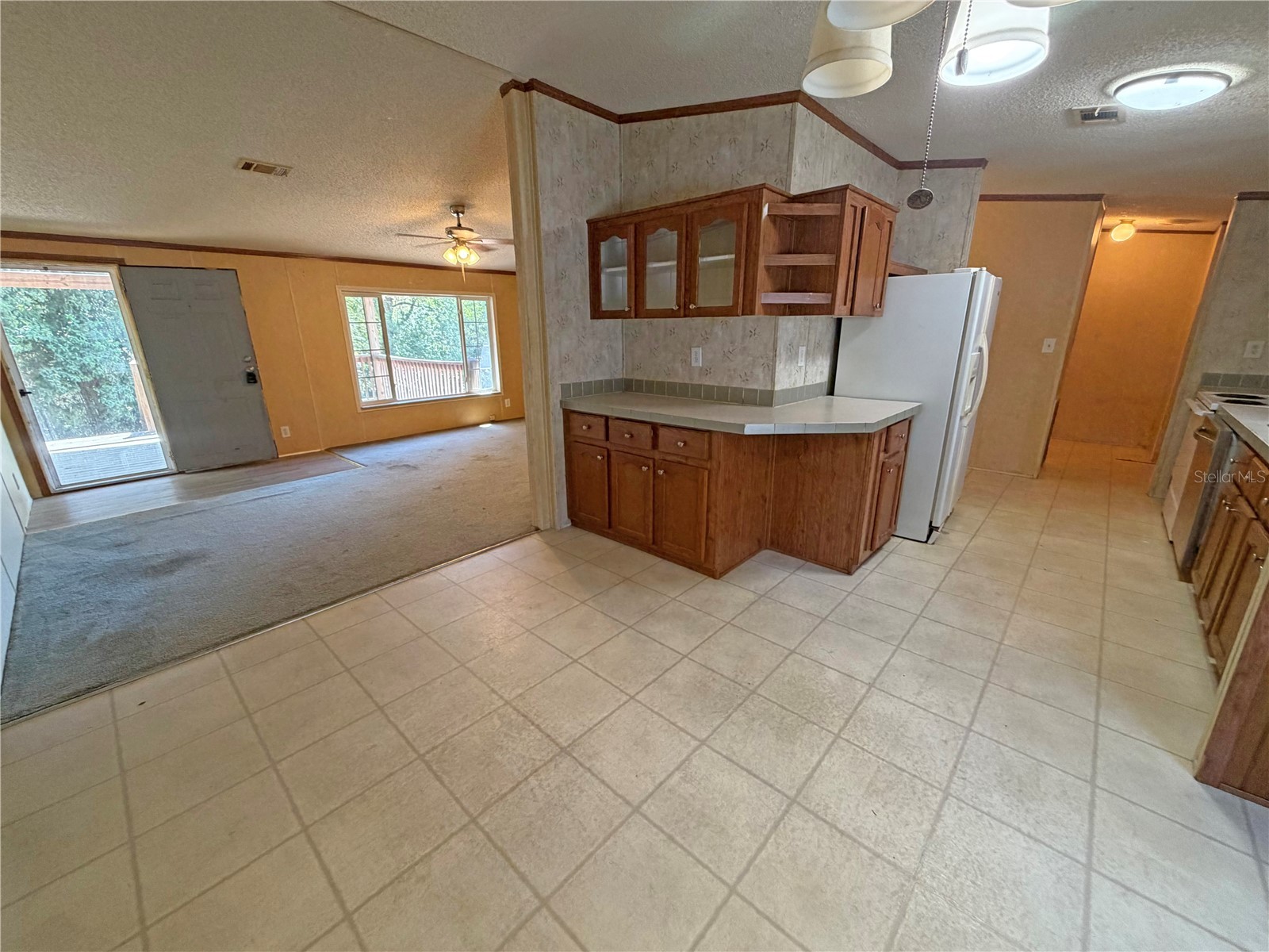 120 Peach Hawthorne FL 32640 GC539601 image5