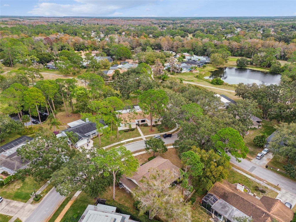 120 Rosewood Drive Palm Harbor FL 34685 TB8461657 image30