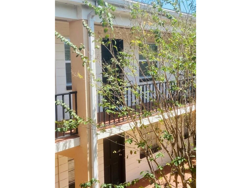 120 S Church Avenue #209 Tampa FL 33609 TB8454821 image1