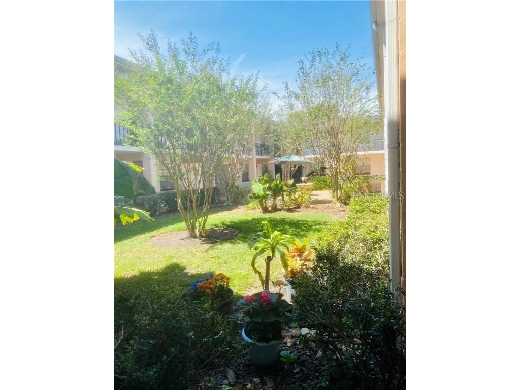 120 S Church Avenue #209 Tampa FL 33609 TB8454821 image11