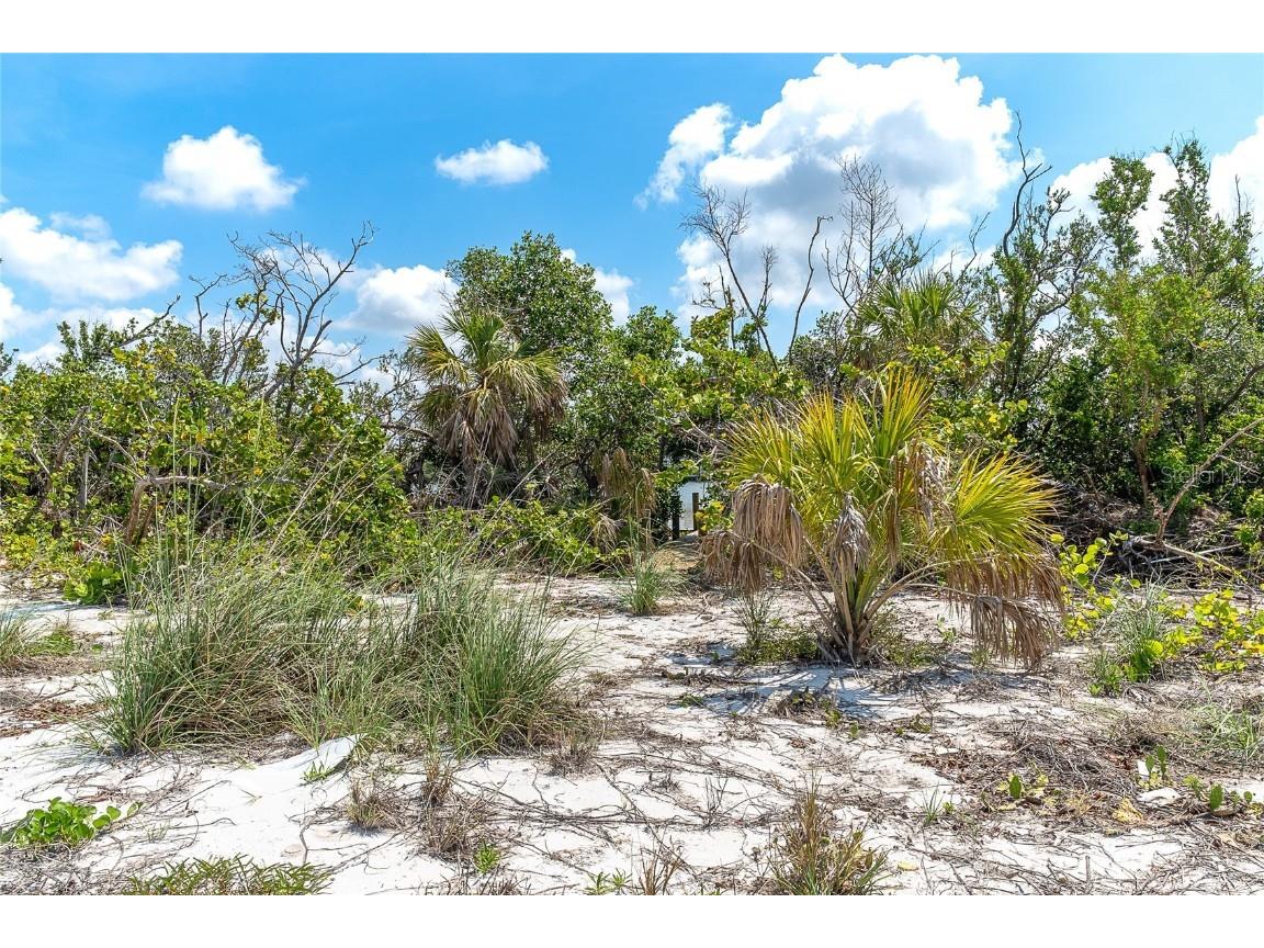 120 S Gulf Boulevard Placida FL 33946 - BOCILLA LAGOON D6140898 image14