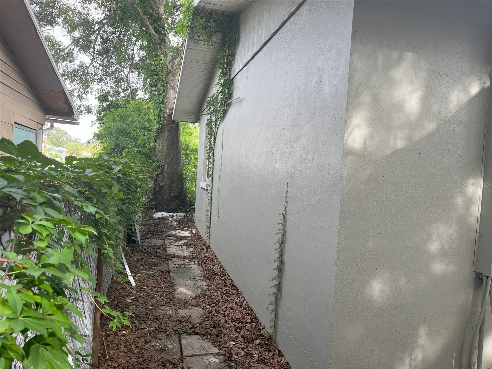 120 S San Remo Avenue Clearwater FL 33755 TB8301533 image19