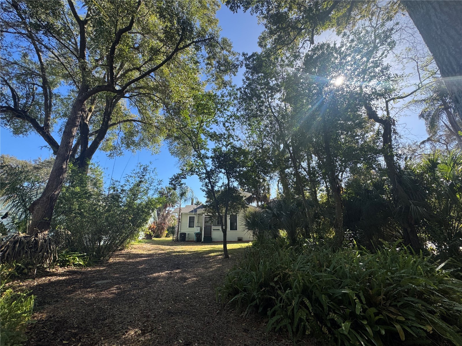 120 S Thornton Avenue Orlando FL 32801 O6380235 image3