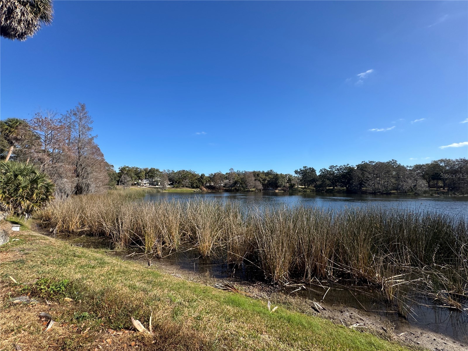 120 S Thornton Avenue Orlando FL 32801 O6380235 image46