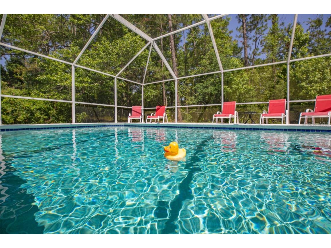 120 Stokes Landing Road Saint Augustine FL 32095 FC311099 image3