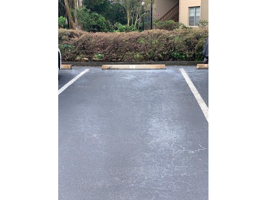 120 W America Street #7 Orlando FL 32801 O6400414 image13