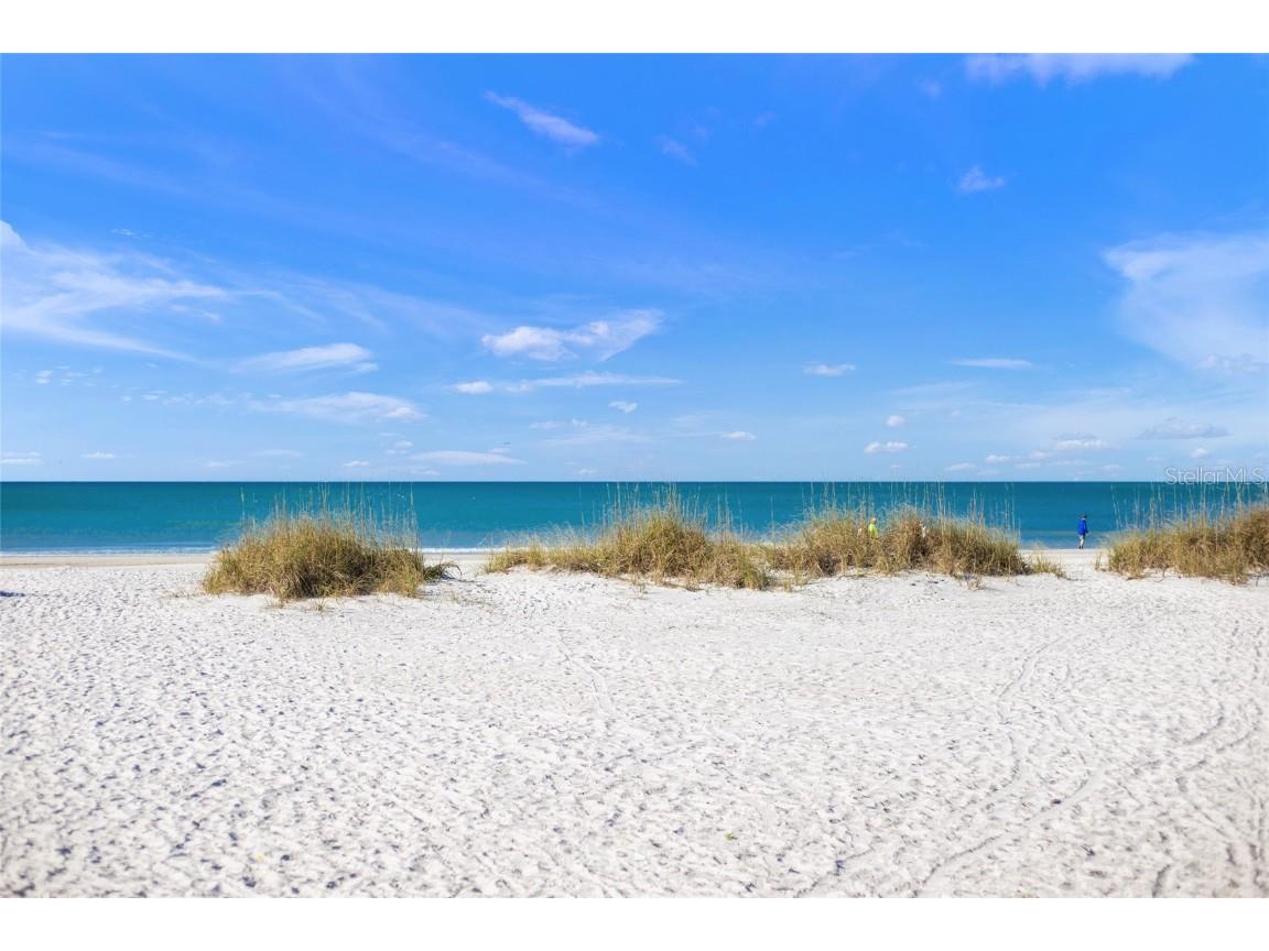 120 White Avenue Anna Maria FL 34216 A4652436 image33