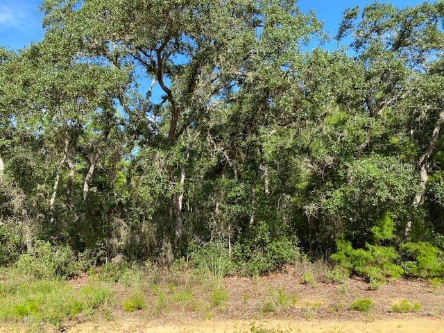 120 Willow Street Hawthorne FL 32640 OM644159 image1