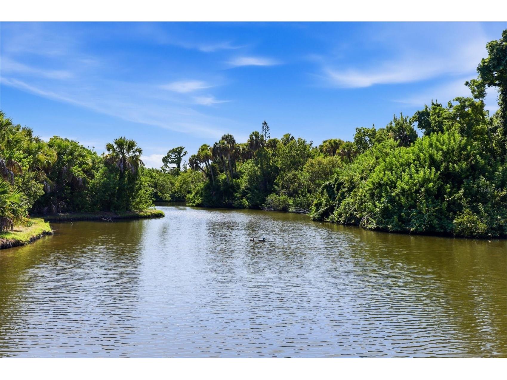 120 Woodland Place #120 Osprey FL 34229 - ICW D6148025 image32