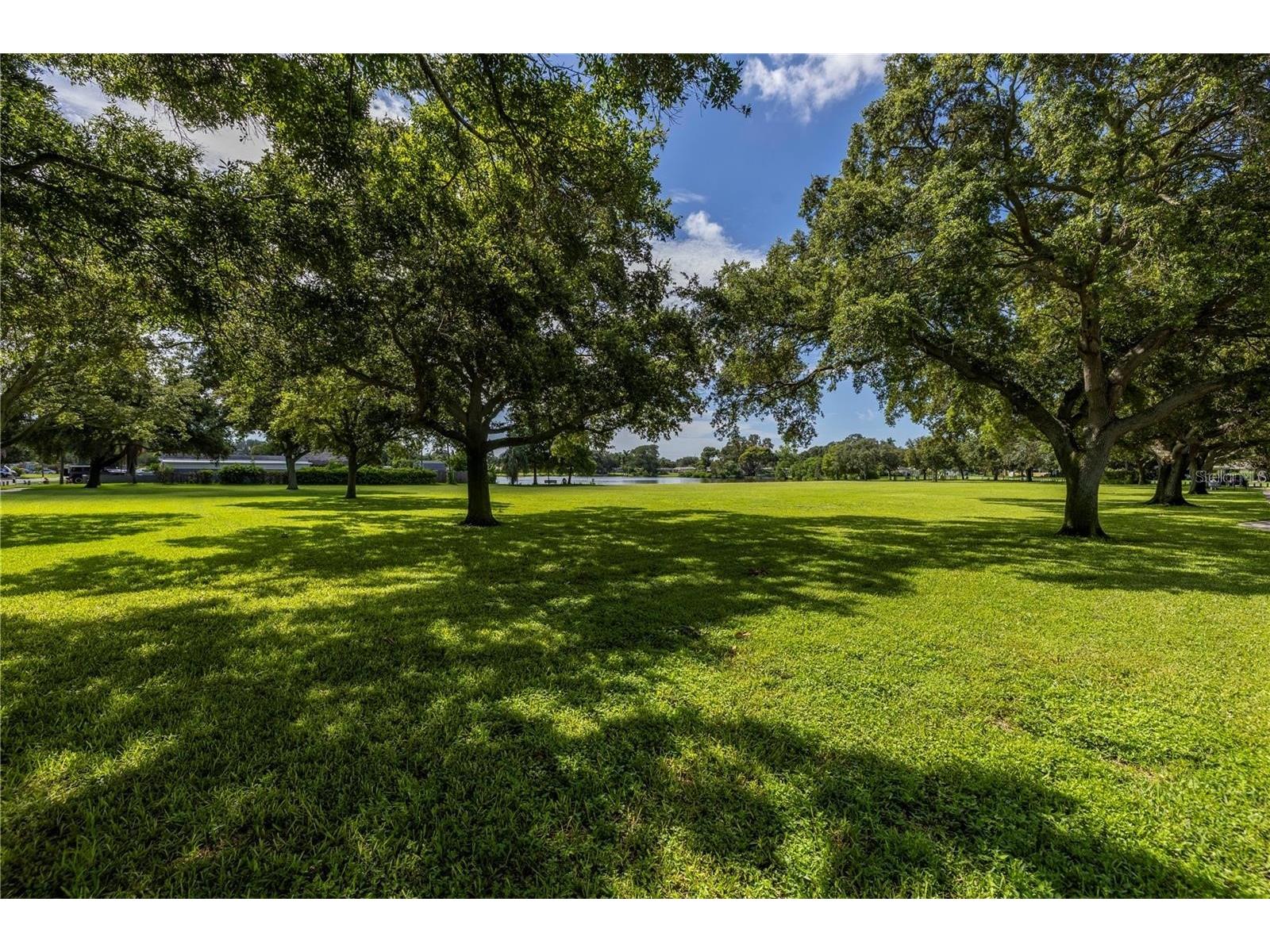 1200 76th Avenue N Saint Petersburg FL 33702 TB8446850 image54