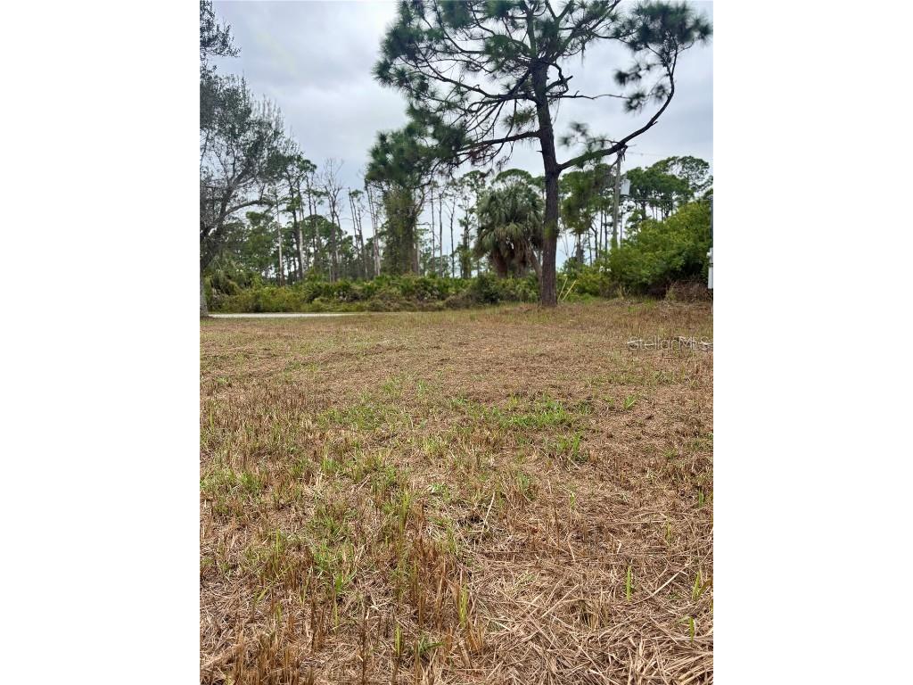 1200 Anaheim Street Port Charlotte FL 33953 D6145145 image5