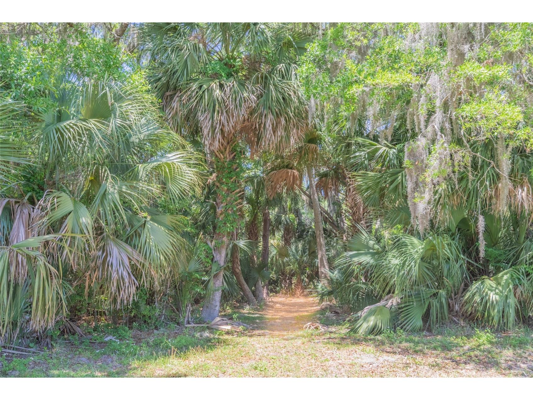 1200 Canopy Walk Lane #1233 Palm Coast FL 32137 FC317604 image34