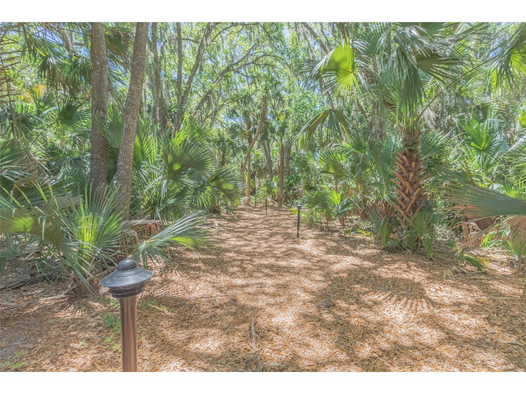 1200 Canopy Walk Lane #1233 Palm Coast FL 32137 FC317604 image35