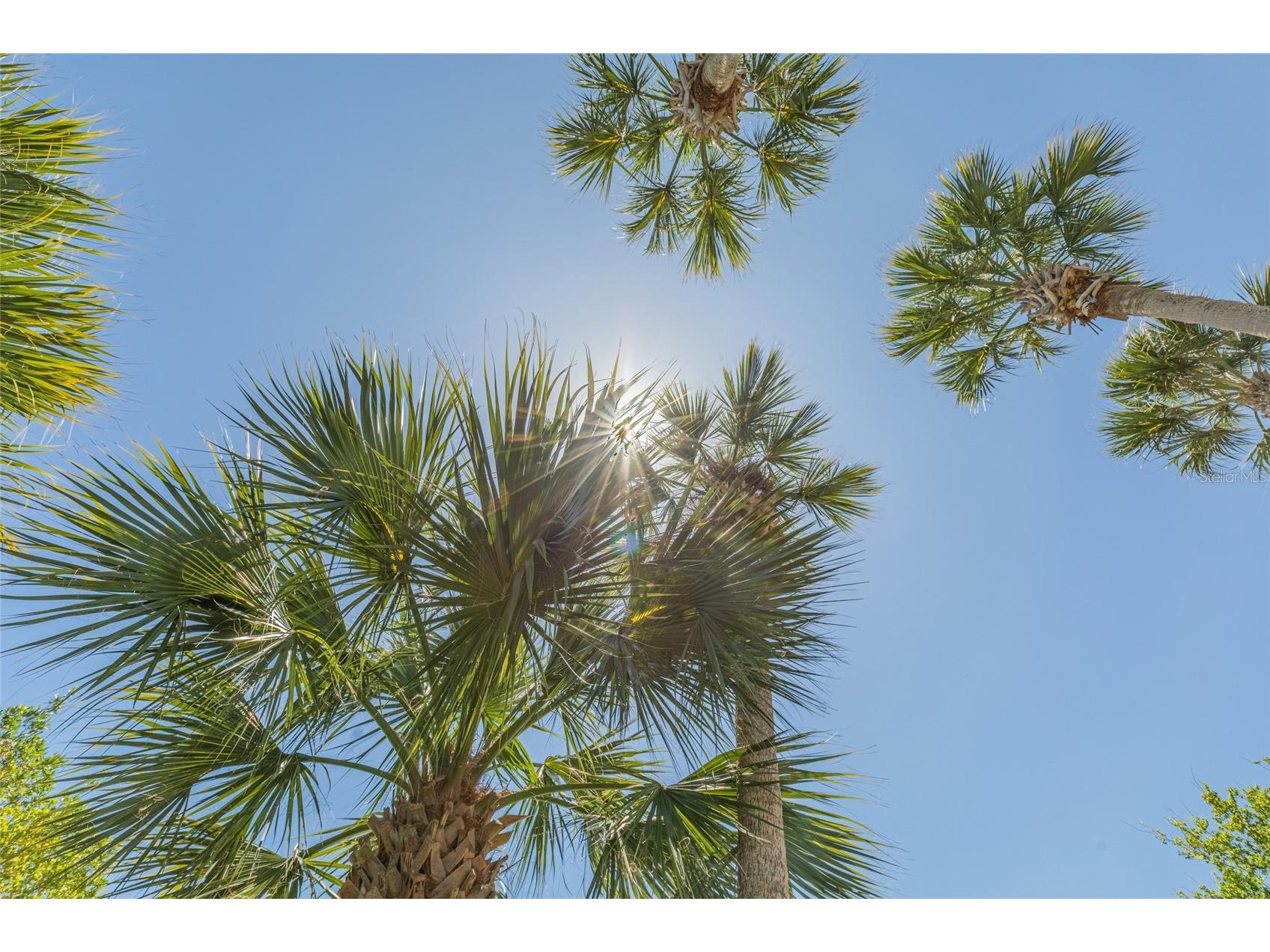 1200 Canopy Walk Lane #1233 Palm Coast FL 32137 FC317604 image43