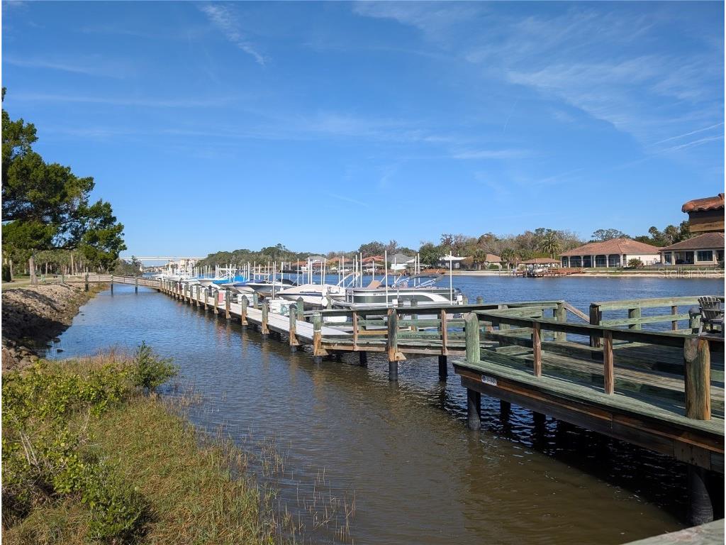 1200 Canopy Walk Lane #1235 Palm Coast FL 32137 FC306068 image27