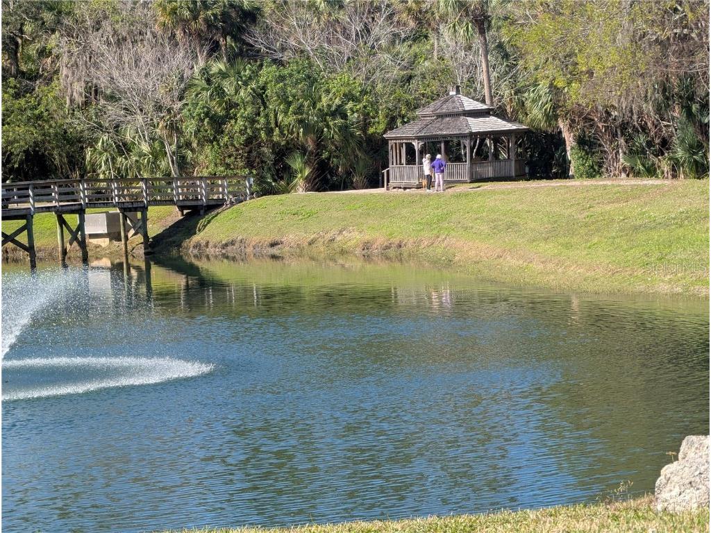 1200 Canopy Walk Lane #1235 Palm Coast FL 32137 FC306068 image32