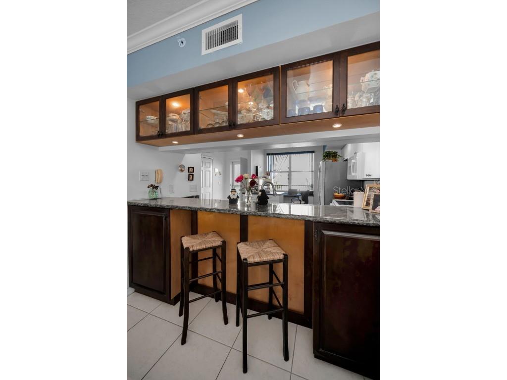 1200 Country Club Drive #2205 Largo FL 33771 TB8449716 image21