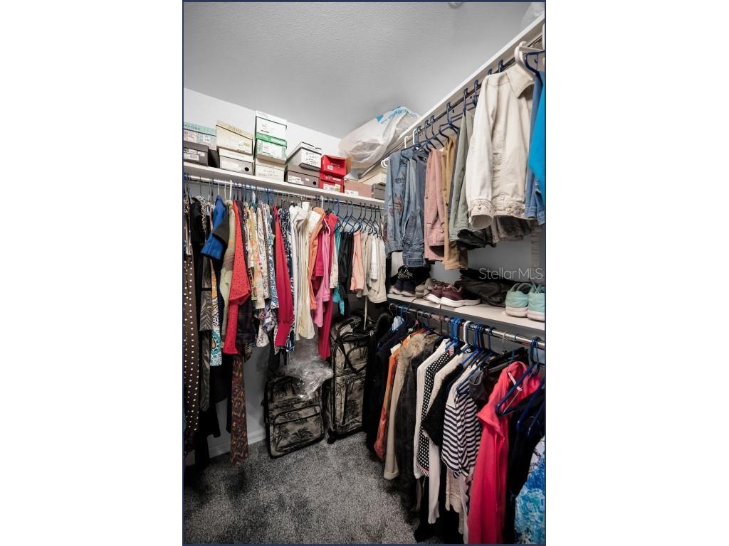 1200 Country Club Drive #2205 Largo FL 33771 TB8449716 image42