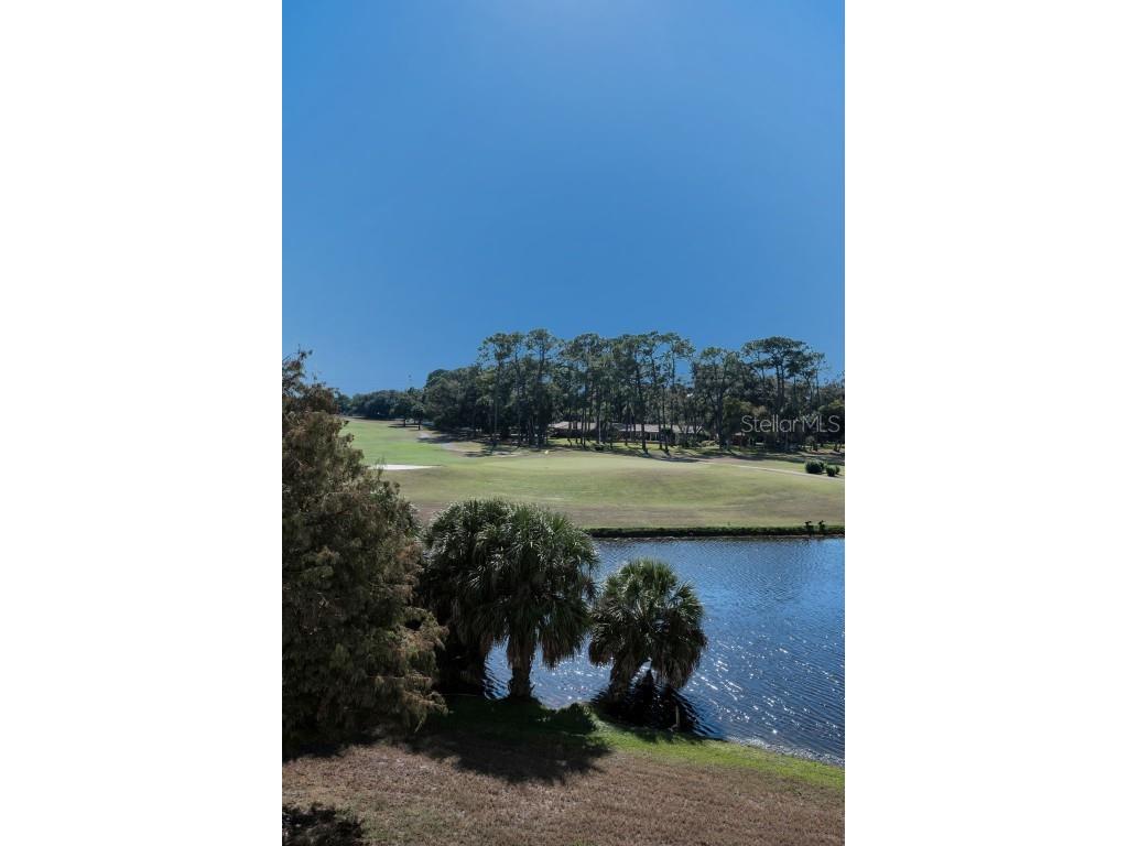 1200 Country Club Drive #2205 Largo FL 33771 TB8449716 image50