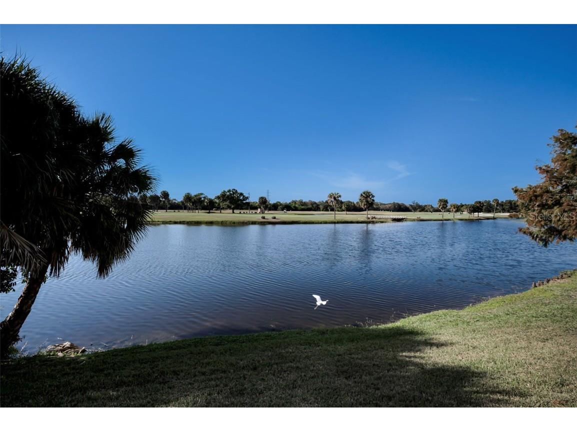 1200 Country Club Drive #2205 Largo FL 33771 TB8449716 image75