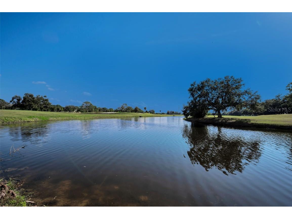 1200 Country Club Drive #2205 Largo FL 33771 TB8449716 image78