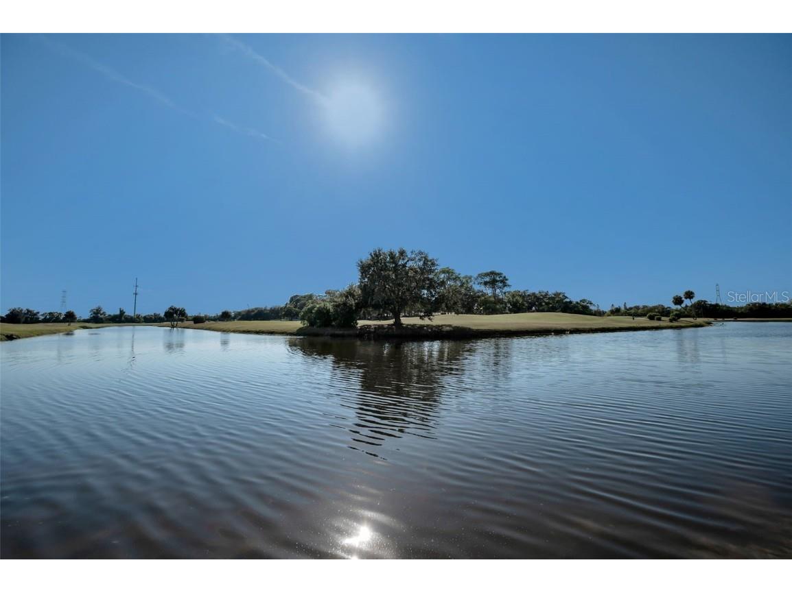 1200 Country Club Drive #2205 Largo FL 33771 TB8449716 image79