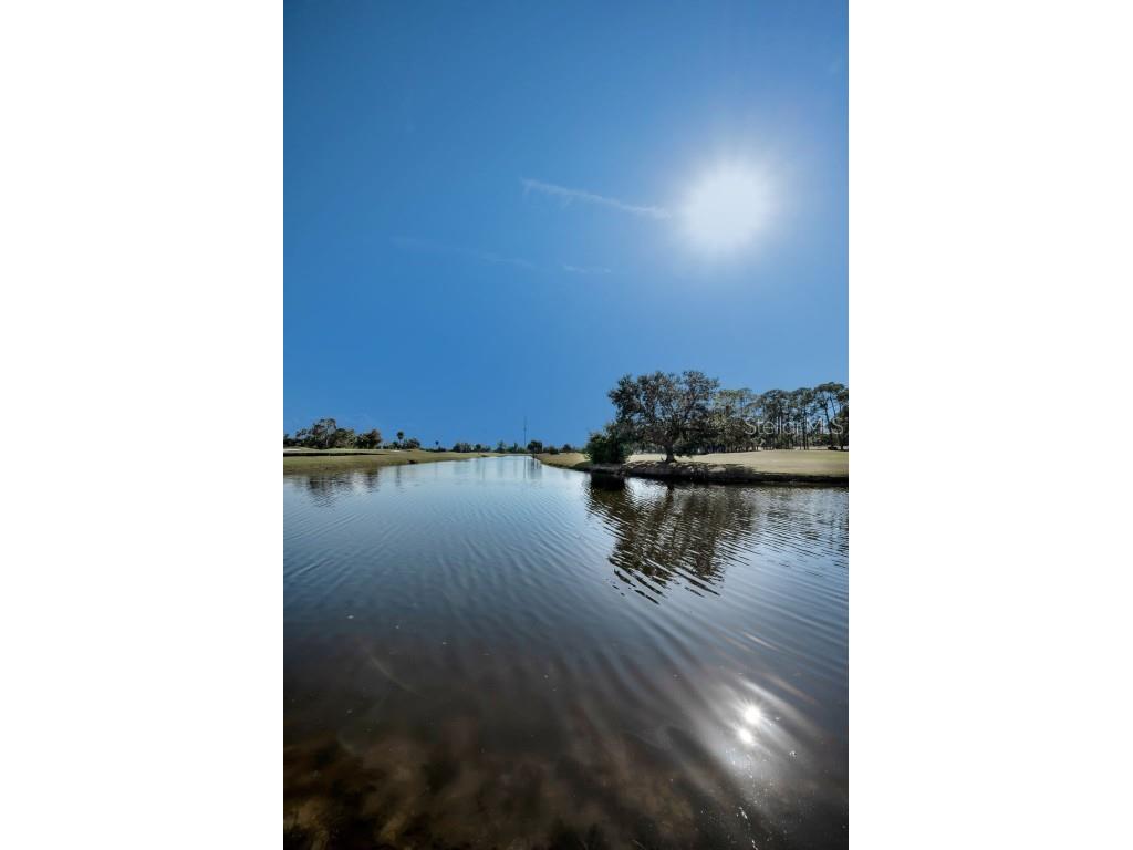 1200 Country Club Drive #2205 Largo FL 33771 TB8449716 image80