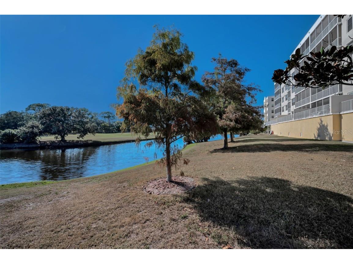 1200 Country Club Drive #2205 Largo FL 33771 TB8449716 image81