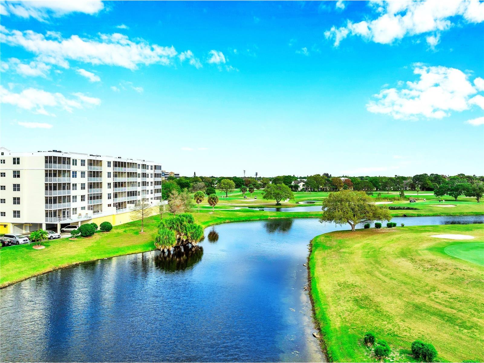 1200 Country Club Drive #2206 Largo FL 33771 - SHORE LAKE TB8357493 image3