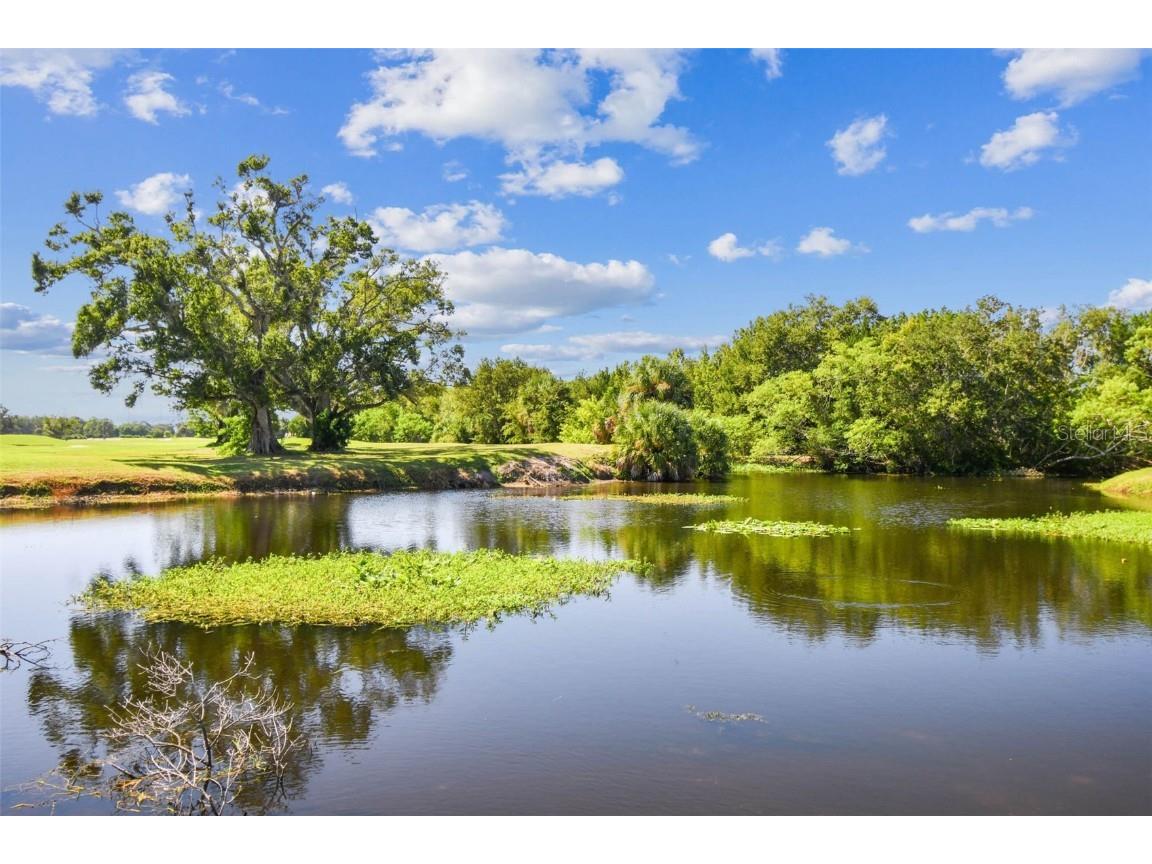 1200 Country Club Drive #2405 Largo FL 33771 TB8440677 image82