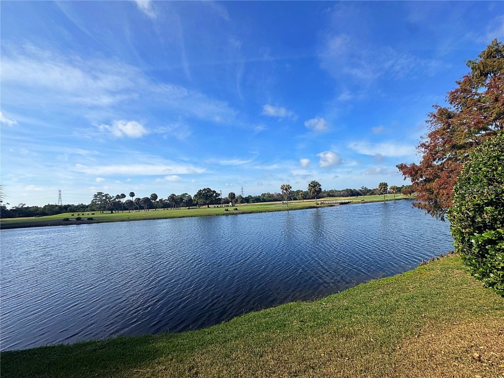 1200 Country Club Drive #6304 Largo FL 33771 TB8454388 image66