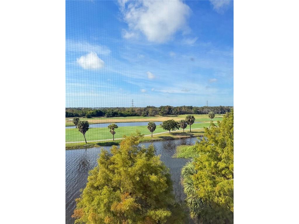 1200 Country Club Drive #6304 Largo FL 33771 TB8454388 image9