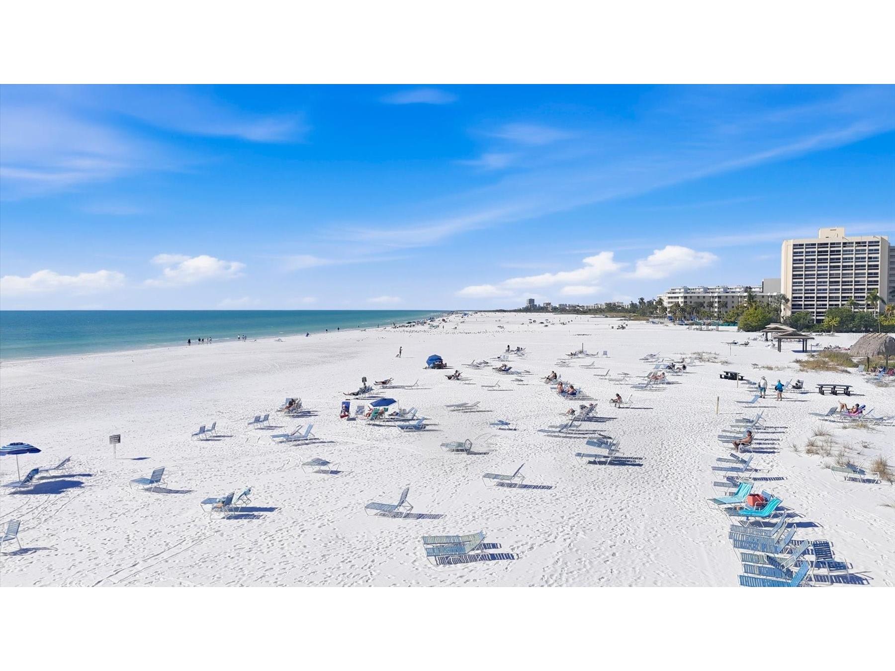 1200 E Peppertree Lane #307 Sarasota FL 34242 A4683608 image54
