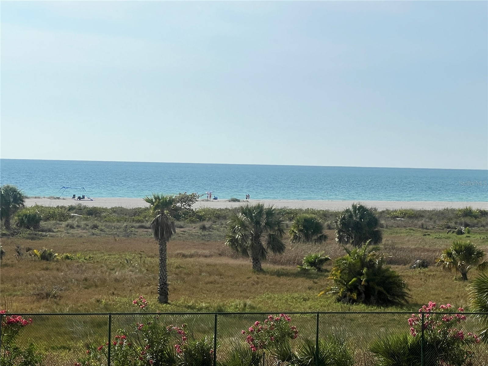 1200 Gulf Boulevard #101 Clearwater Beach FL 33767 TB8491701 image7