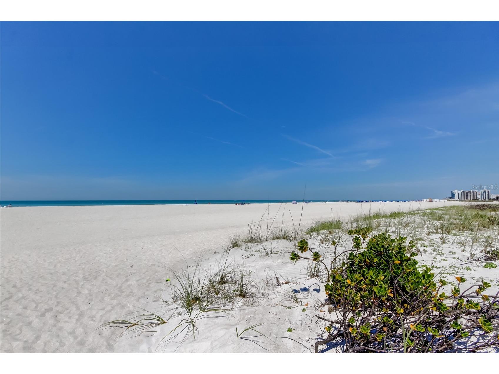 1200 Gulf Boulevard #1704 Clearwater Beach FL 33767 TB8392375 image66