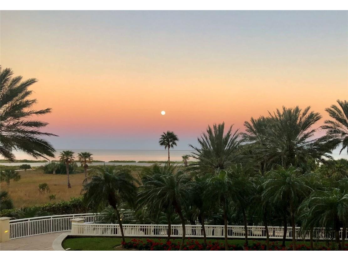 1200 Gulf Boulevard #204 Clearwater Beach FL 33767 TB8338959 image1