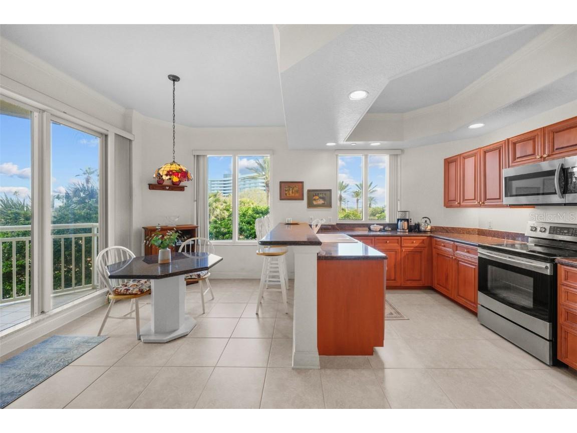 1200 Gulf Boulevard #206 Clearwater Beach FL 33767 - GULF OF AMERICA TB8330951 image31