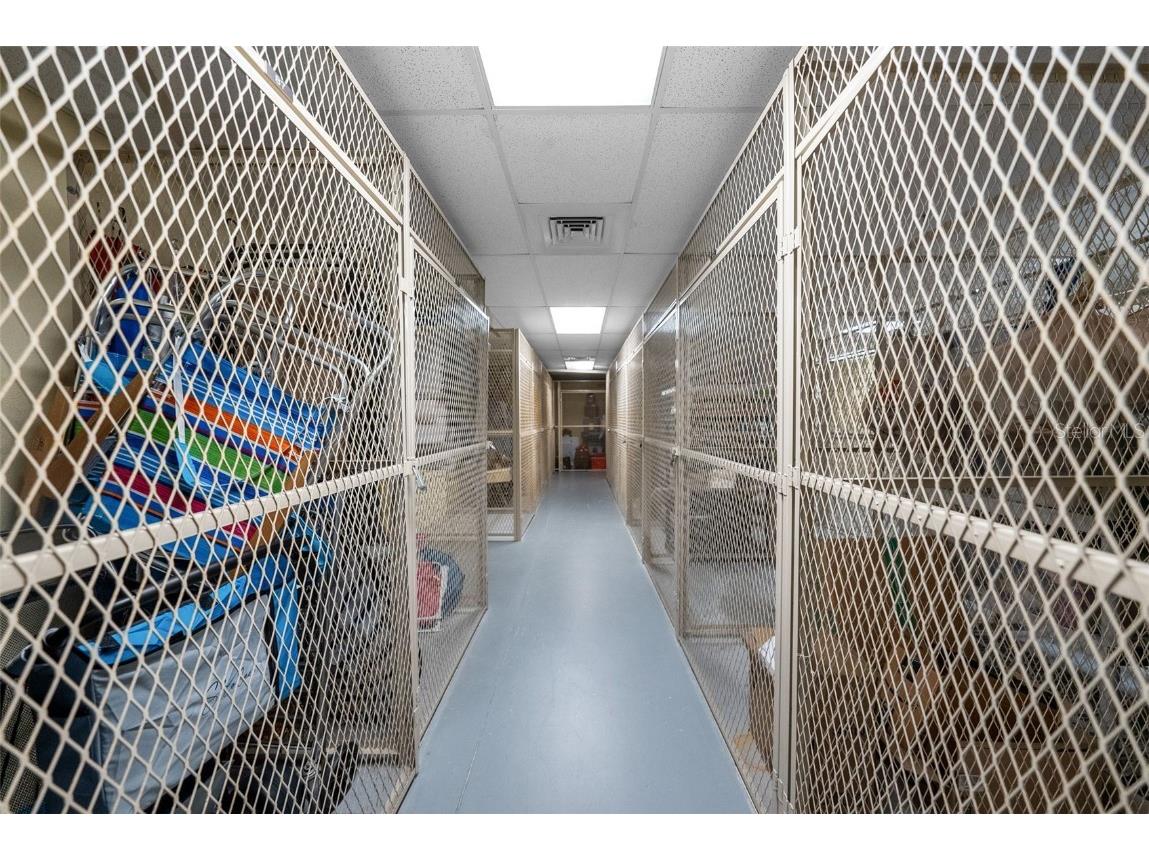 1200 Gulf Boulevard #206 Clearwater Beach FL 33767 - GULF OF AMERICA TB8330951 image53