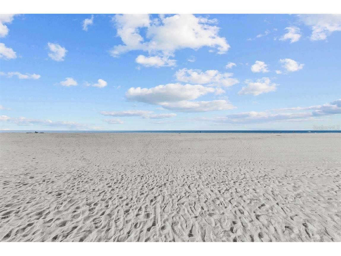 1200 Gulf Boulevard #206 Clearwater Beach FL 33767 - GULF OF AMERICA TB8330951 image89