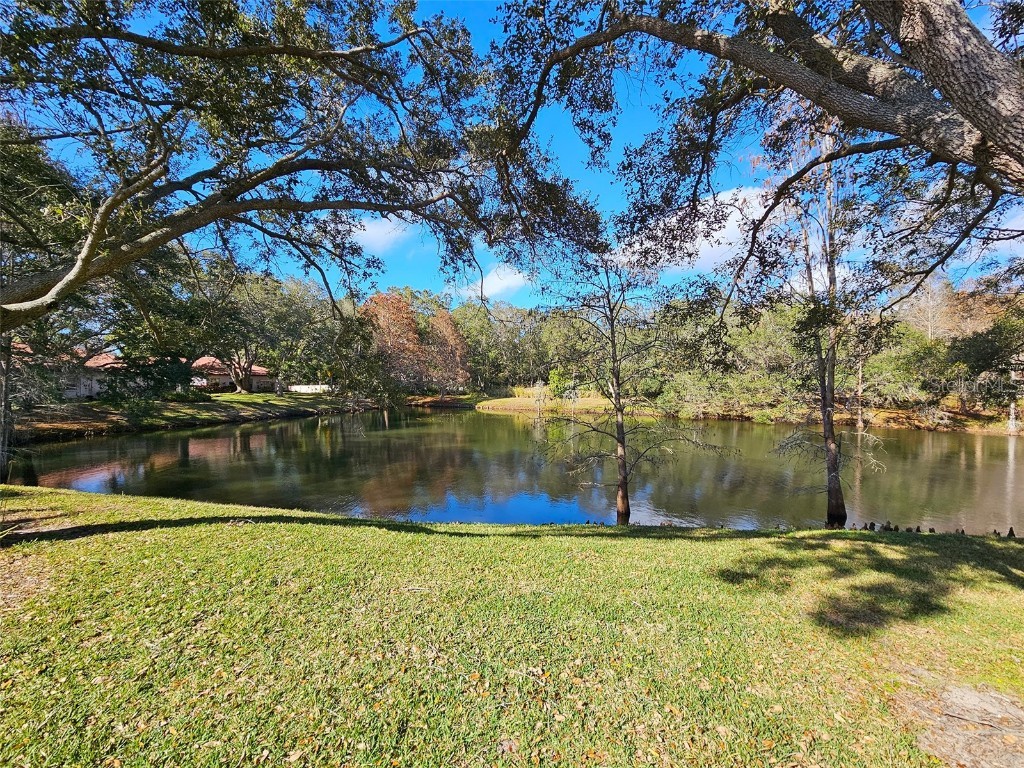 1200 Montrose Place #1656 Dunedin FL 34698 U8227141 image1