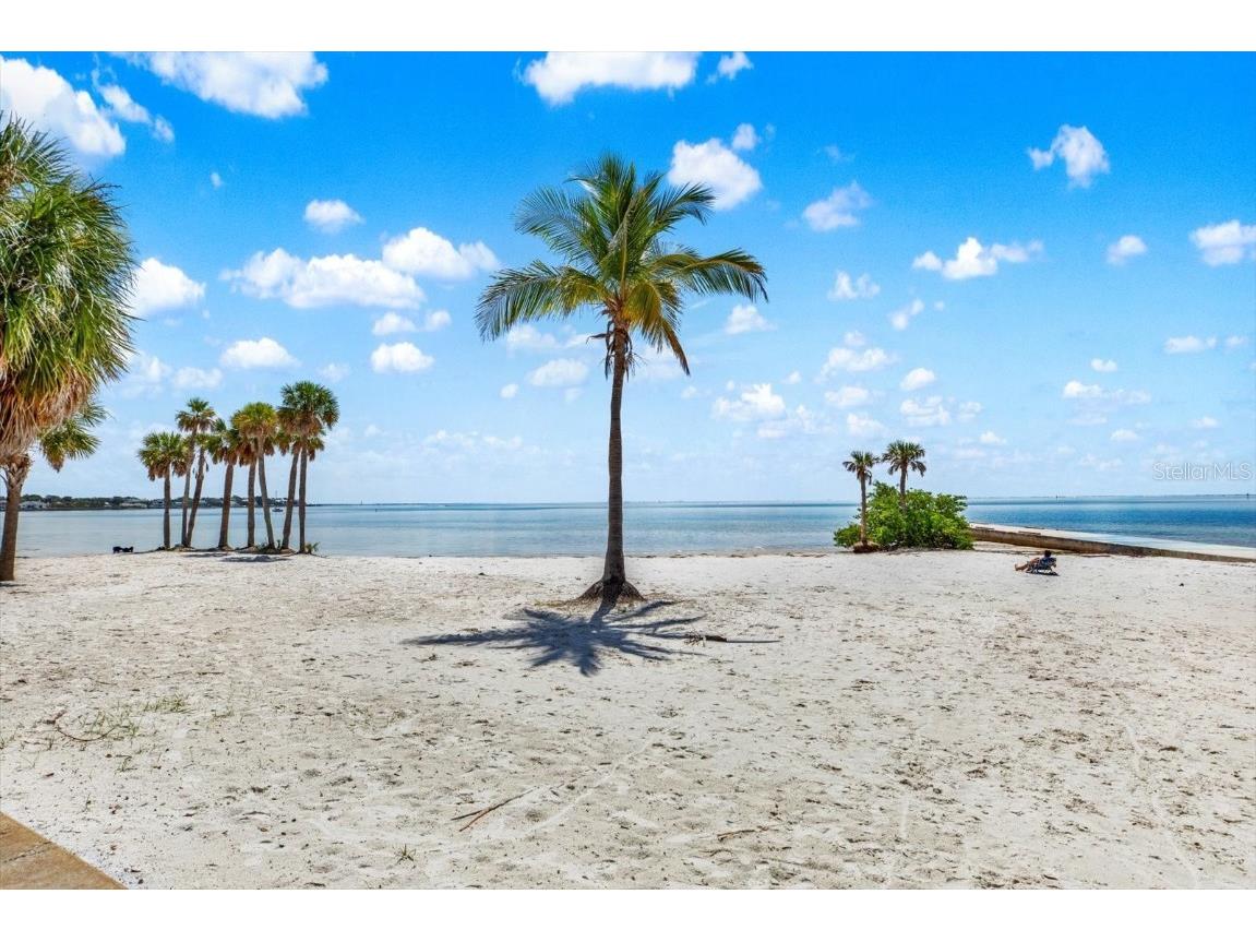 1200 N Shore Drive NE #404 Saint Petersburg FL 33701 TB8395328 image25