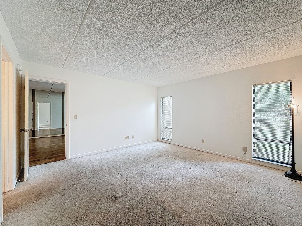 1200 Tarpon Woods Blvd #L4 Palm Harbor FL 34685 O6318863 image18