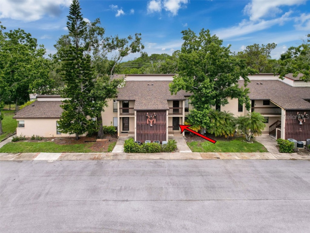 1200 Tarpon Woods Blvd #L4 Palm Harbor FL 34685 O6318863 image2