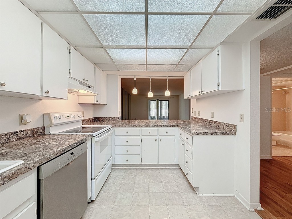 1200 Tarpon Woods Blvd #L4 Palm Harbor FL 34685 O6318863 image7