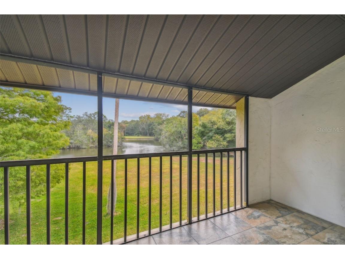 1200 Tarpon Woods Blvd #Q-8 Palm Harbor FL 34685 TB8414018 image3