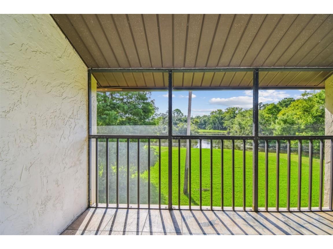 1200 Tarpon Woods Blvd #Q-8 Palm Harbor FL 34685 TB8414018 image32